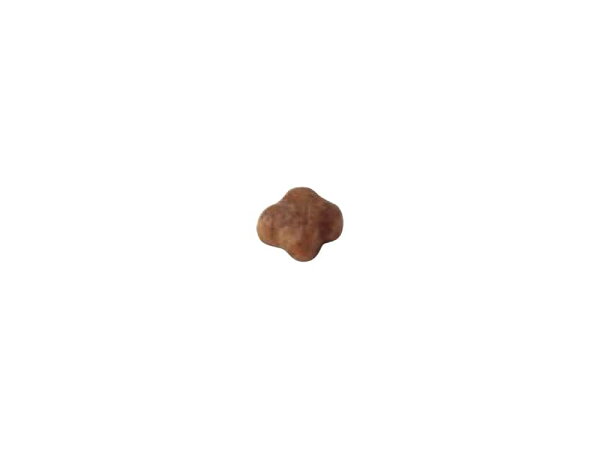 【エントリーでポイント+6.5倍！9月25日！】ロイヤルカナン 猫 キャットフード マザー＆ベビーキャット 2kg 正規品 猫用品/ねこグッズ/ペットグッズ/ペット用品