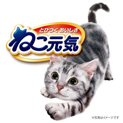 ねこ元気お魚ミックスまぐろ・かつお・白身魚入り(3.5kg)【ねこ元気】[キャットフード]