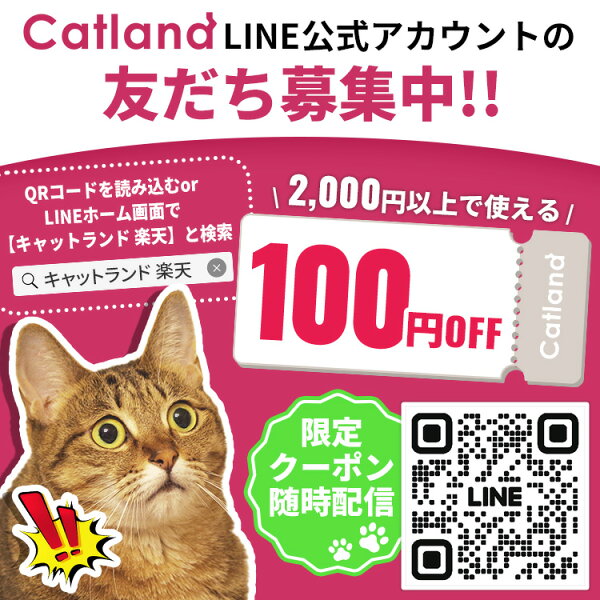 【5%オフクーポン★】【セットはさらにお得！】ロイヤルカナン 猫 FHN エイジング 12+ 4kg ≪正規品≫ (旧 エイジング +12) 12歳以上の高齢猫用 老猫用 シニア キャットフード ドライフード プレミアム ROYAL CANIN 楽天 [3182550786225][AA]【rccf09】