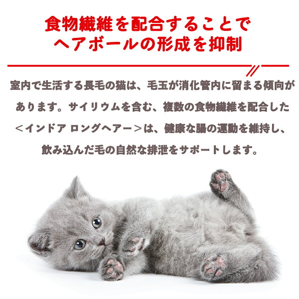 【賞味期限:2026/10/24】[ 正規品 送料無料 ] ロイヤルカナン インドア ロングヘアー 2kg [ royalcanin ロイヤルかなん FHN フィーライン ヘルス ニュートリション ]