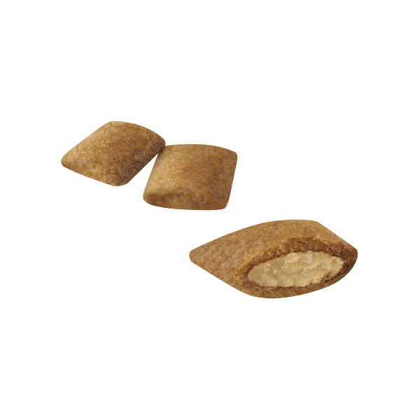 【エントリーでポイント+6.5倍！9月25日！】ロイヤルカナン 猫 キャットフード エイジング 12＋ 2kg 正規品 猫用品/ねこグッズ/ペットグッズ/ペット用品