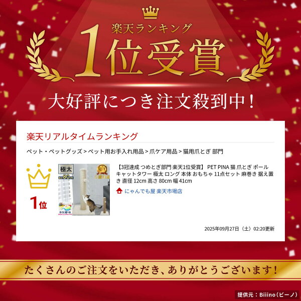 【3冠達成 つめとぎ部門 楽天1位受賞】 PET PINA 猫 爪とぎ ポール キャットタワー 極太 ロング 本体 おもちゃ 11点セット 麻巻き 据え置き 直径 12cm 高さ 80cm 幅 41cm