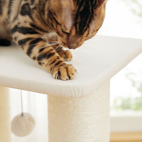 窓辺でまったり日向ぼっこミニタワー 爪研ぎ 麻 据え置き 低い 猫 タワー インテリア 猫 ねこ おもちゃ 爪とぎ つめとぎ シンプル ペピイ