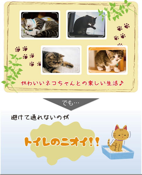 業務用 ひのき猫砂 50L｜猫 トイレ ネコ砂 流せる 固まる 消臭 脱臭 無香料 木製 おすすめ 大容量