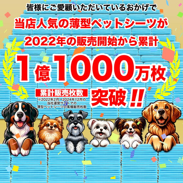 ペットシーツ 薄型 ワイド 400枚 レギュラー 800枚 スーパーワイド200枚 トイレシーツ 大容量 まとめ買い 業務用 ペット用 ペットシート トイレシート 犬 猫 ペット用シーツ ペットシート ワイドシーツ ワイドサイズ おしっこシート ペット