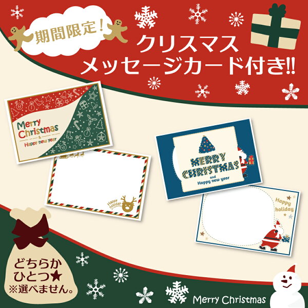犬 おもちゃ クリスマス ギフト プレゼント セット 送料無料 ボール オモチャ ぬいぐるみ ギフト おもちゃ 詰め合わせ おもちゃボックス おもちゃBOX おもちゃぼっくす デンタル 犬用 パピー 小型犬 中型犬 大型犬 FREEBIRD フリーバード