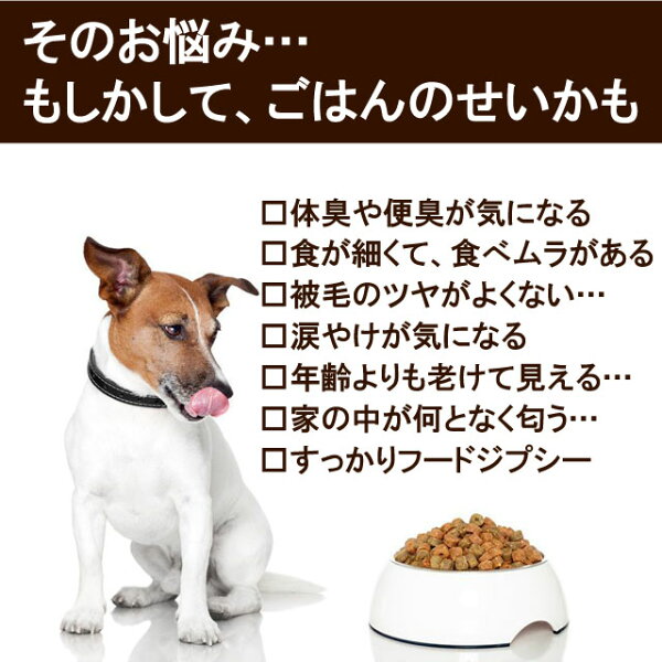 ドッグフード お試しフルセット ドライフード＆レトルトフード7種9点入り【送料無料】|ドッグフード 国産 無添加 お試し サンプル セット 犬 ペットフード 全年齢対応 全犬種対応 ドライ シニア 幼犬 子犬 パピー 小型 成犬