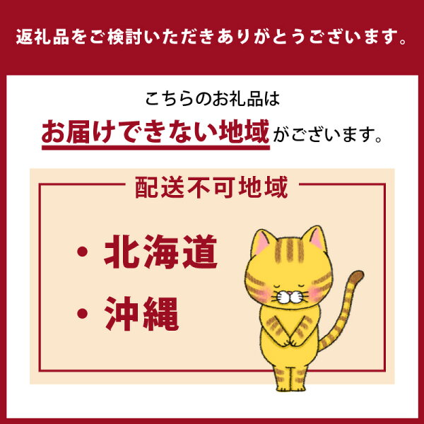 【ふるさと納税】猫の爪とぎ 丸太【選べるタイプ（ロング・ハウスタイプ / ショート・トンネルタイプ）】猫 爪とぎ ダンボール 丈夫 写真映え 日本製 常滑市 国産 おもちゃ ペット インテリア かわいい ハウス ロング 送料無料