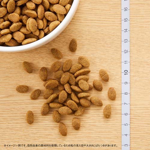 ニュートロ シュプレモ 小型犬用 成犬用 6kg ドッグフード(6kg)【d_nutro】【シュプレモ(Supremo)】[ドッグフード]