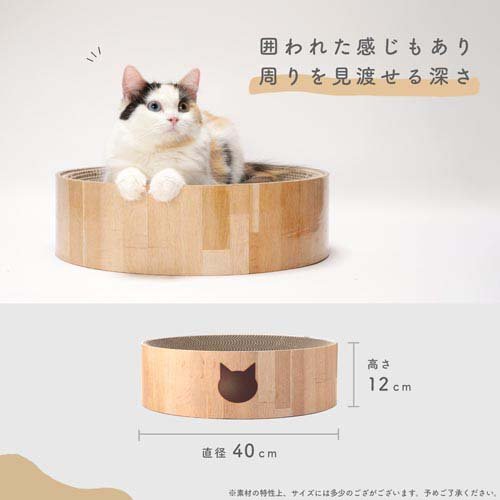 猫壱 バリバリボウル 猫柄(1個)【猫壱】